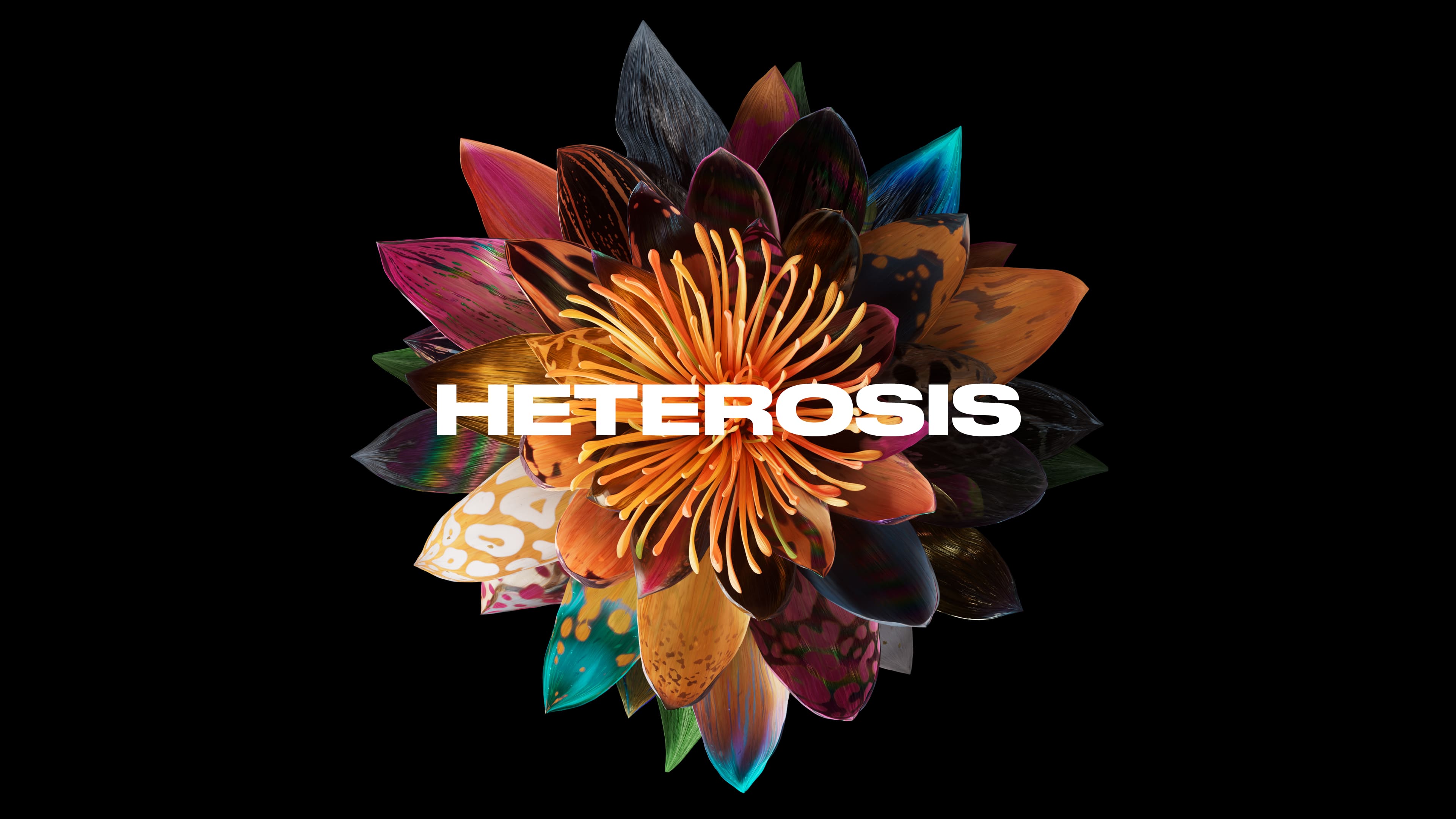 Heterosis