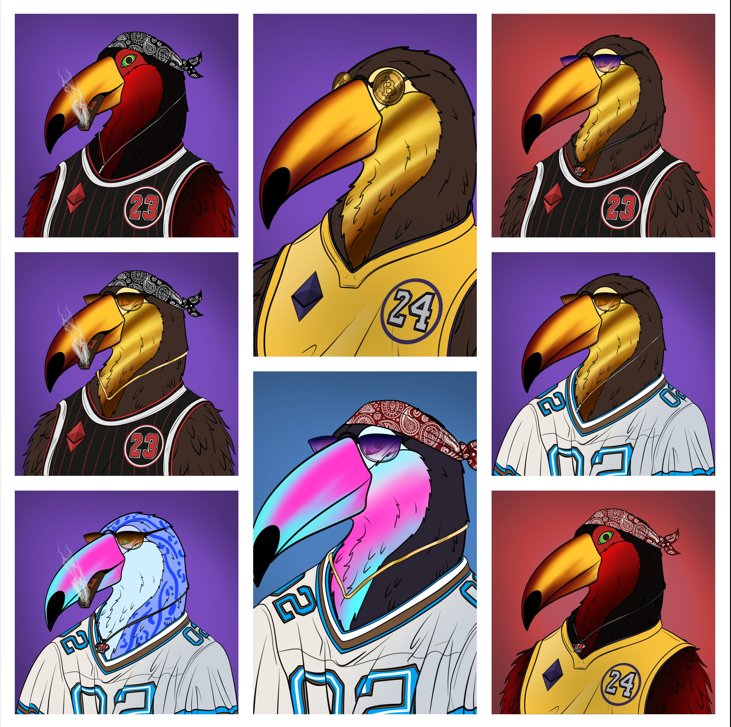 Toucan Universe