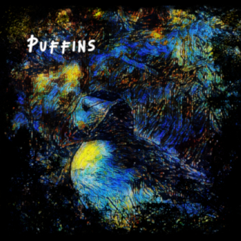 Puffins